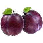 آلوچه شابلون