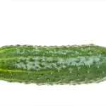خیار
